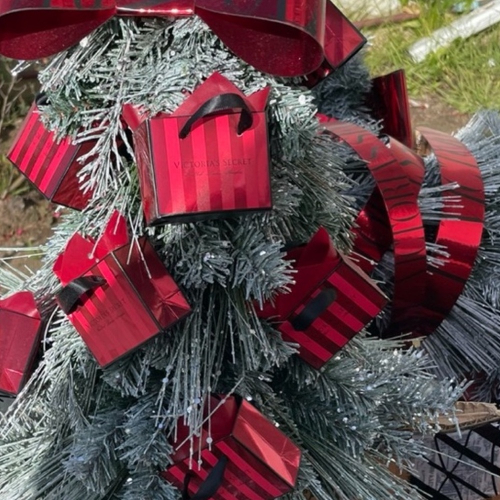 Beautiful tree - Picture 3 of 3